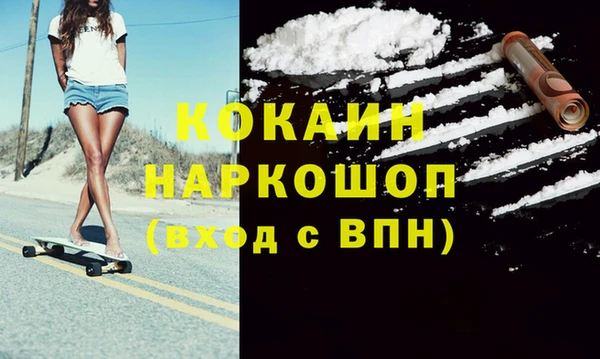 сатива Дмитриев
