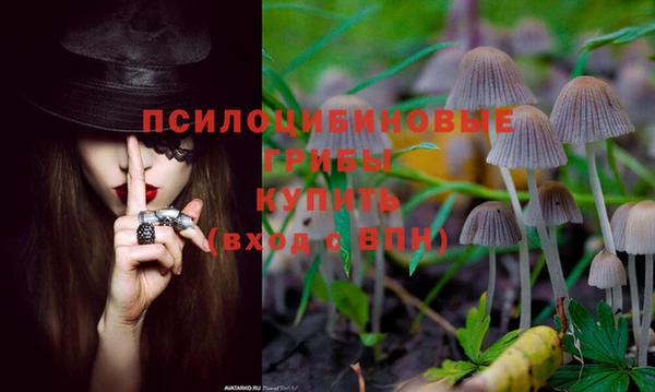 трава Дмитров