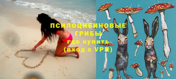 сатива Дмитриев
