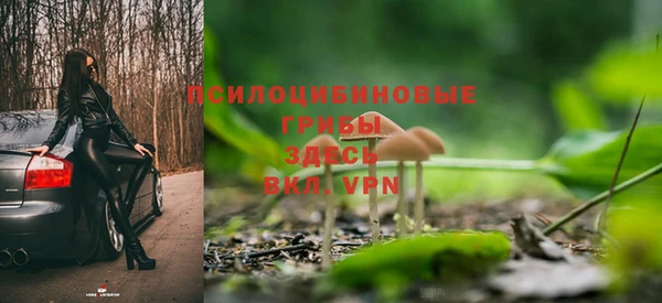 сатива Дмитриев