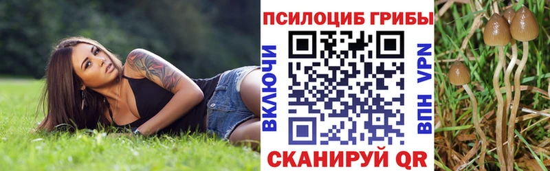 Псилоцибиновые грибы прущие грибы  Купить  Балтийск 